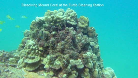 ???????????????????????????????