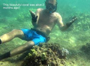 ???????????????????????????????