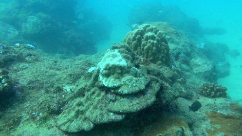 ???????????????????????????????