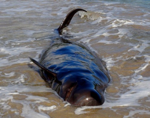 ???????????????????????????????