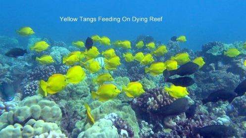 10153942_10152358796811556_2268124815209507607_n