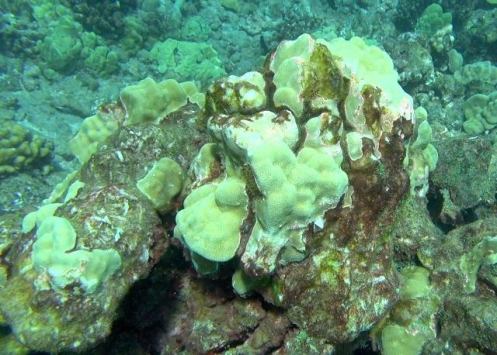 10330440_10152358796721556_1930862123683107833_n