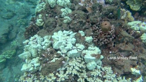 10411098_10152358796661556_7891509768260129707_n