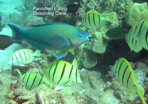 10710689_10152358796796556_1579089908720731297_n