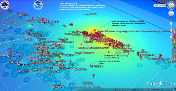 Indian River Lagoon Radar Intensity