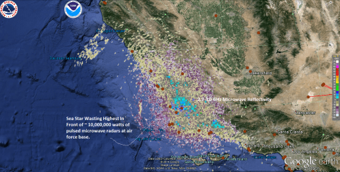 Sea Star Wasting Vandenburg