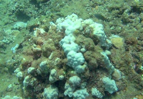 10400018_10152424690811556_6438234531225892437_n