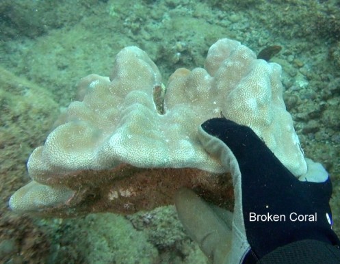 ???????????????????????????????