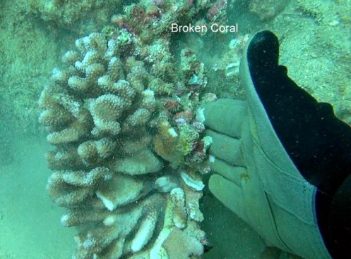 ???????????????????????????????