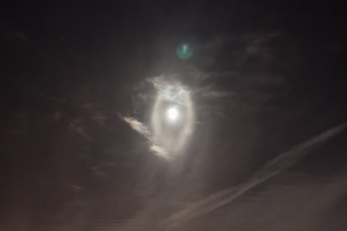 Sophie-Melanson-IMG_8989-sophie-melanson-elliptical-moonhalo-1-resized_1417649889_lg