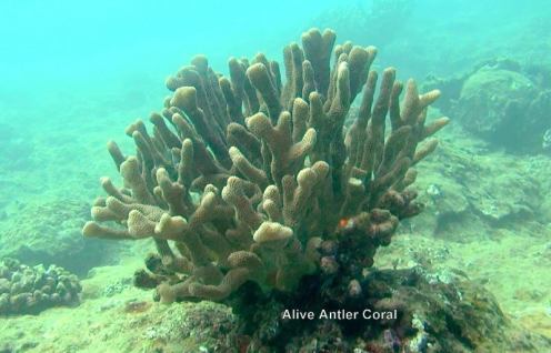 10403526_10152567187441556_8131402601092355099_n