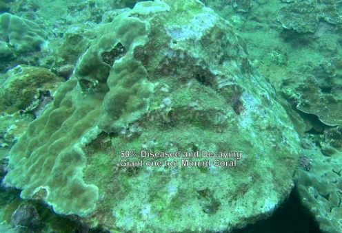 10986804_10152567187341556_4839361615568785681_n