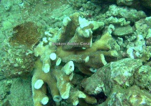 10986924_10152567186141556_3451184200470058677_n