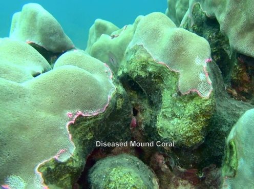 10991135_10152567184731556_2541356234475901577_n