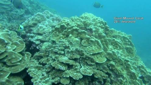 11008064_10152567185051556_4091521401806276304_n