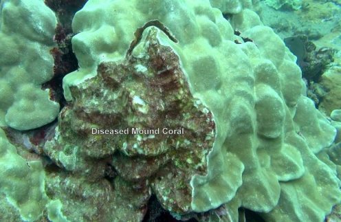 11009951_10152567184991556_5984373741442876487_n