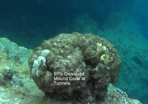 10924_10152632092106556_783365278642729646_n