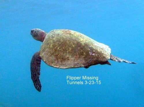 1236492_10152632091351556_3367860884852735274_n