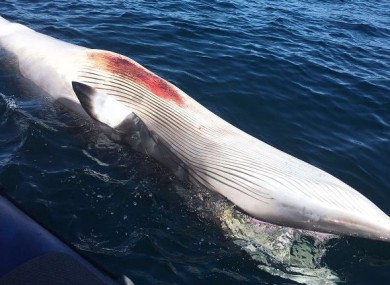 jimmy-bambury-390x285