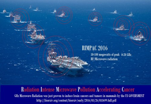 rimpac 2016 cancer