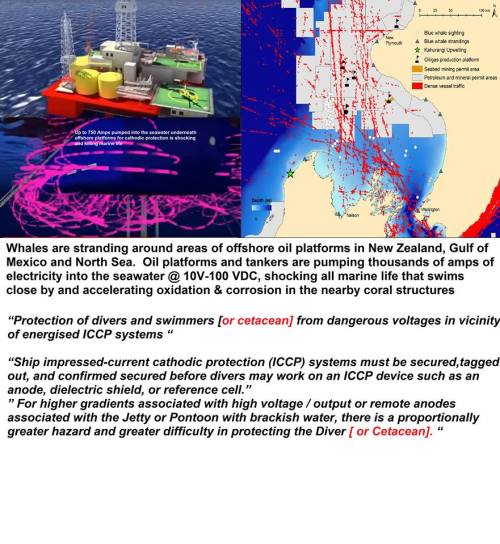 15032270_10154798956061654_1271789592524245894_n