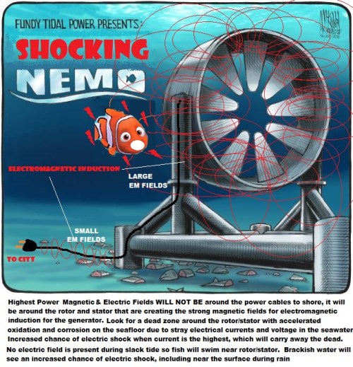 shocking-nemo